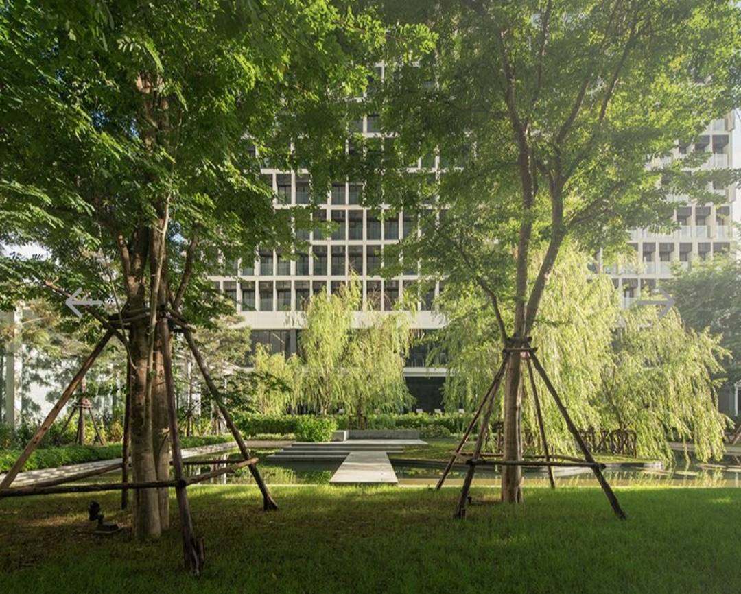 MH99  🏡 For Sale/Rent — Project :   Noble Ploenchit