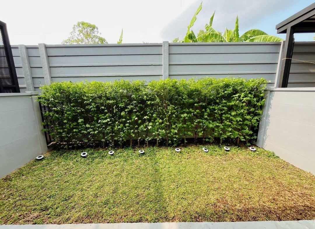 NP292 🏡 For Rent — Townhome/ House near Mega Bangna