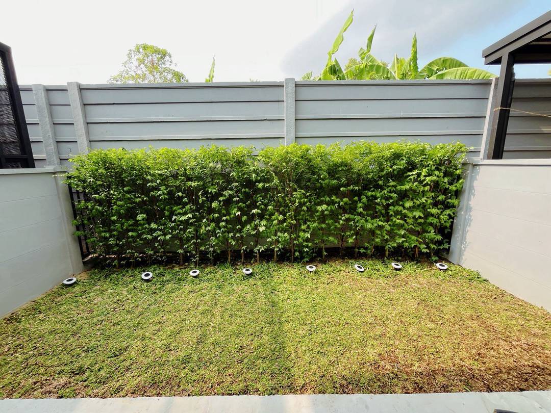 NP292 🏡 For Rent — Townhome/ House near Mega Bangna